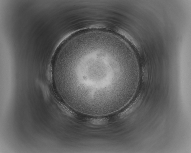 X0000113781021200909231311