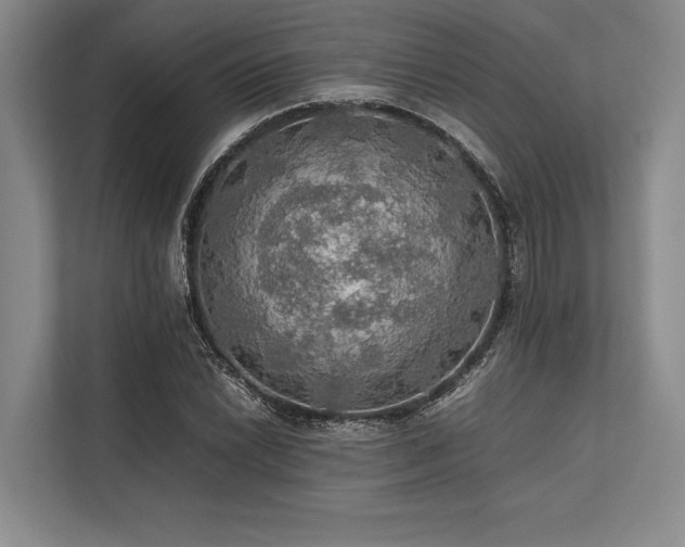 X0000113781022200909231311