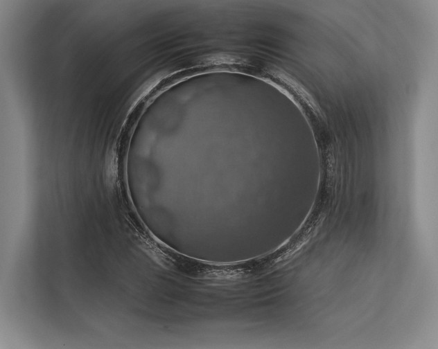 X0000113781023200909231311