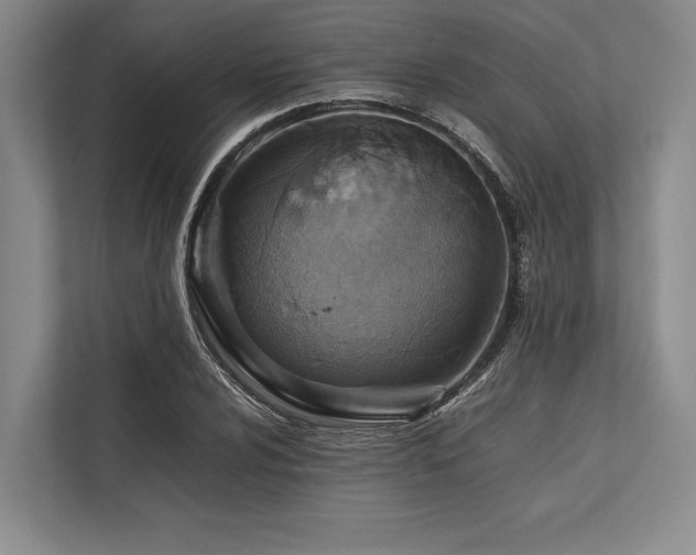 X0000113781024200909231311