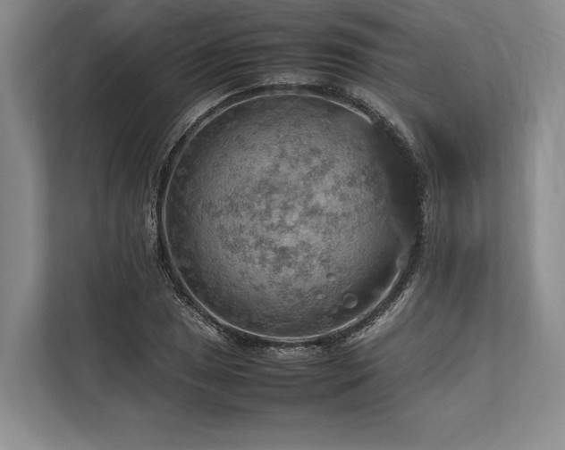 X0000113781025200909231311