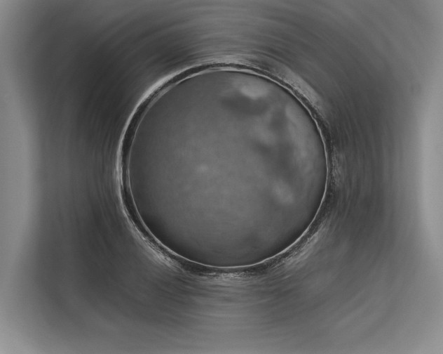 X0000113781028200909231311