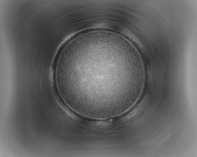 X0000113781029200909231311