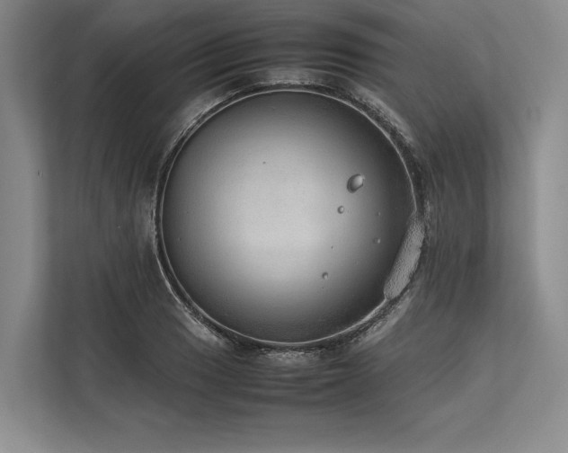 X0000113781033200909231311