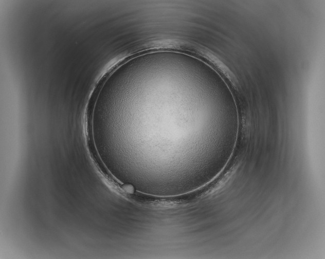 X0000113781034200909231311