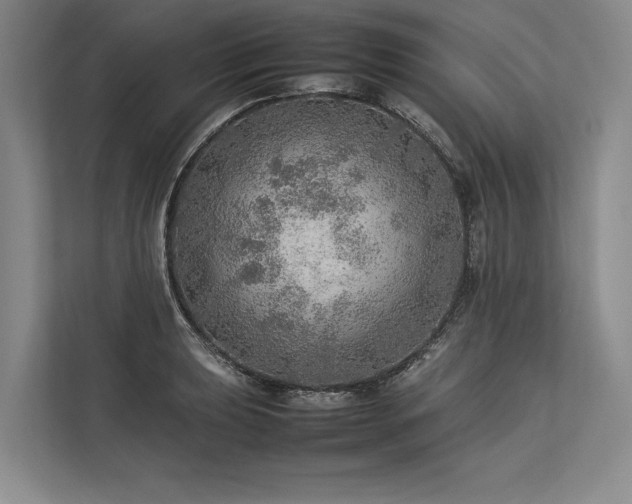 X0000113781039200909231311