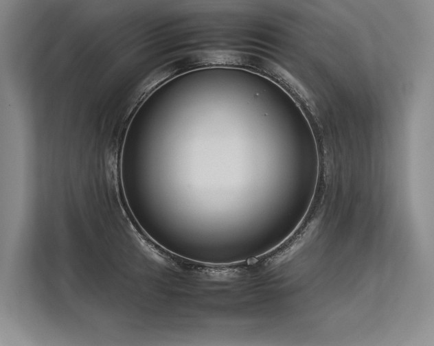 X0000113781041200909231311