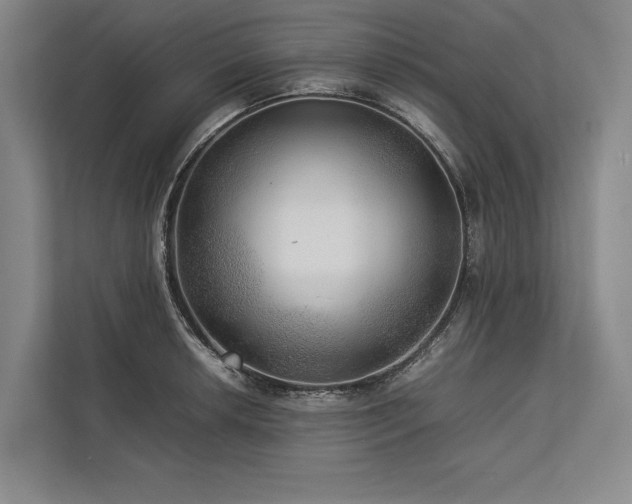 X0000113781042200909231311