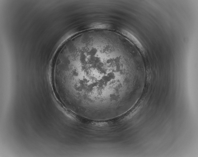 X0000113781043200909231311