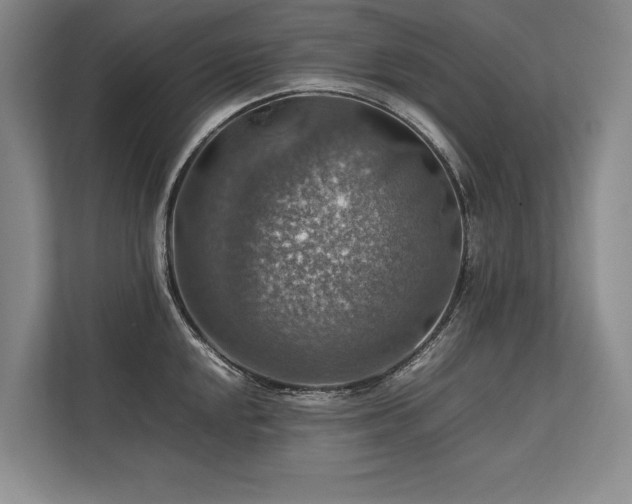 X0000113781048200909231311