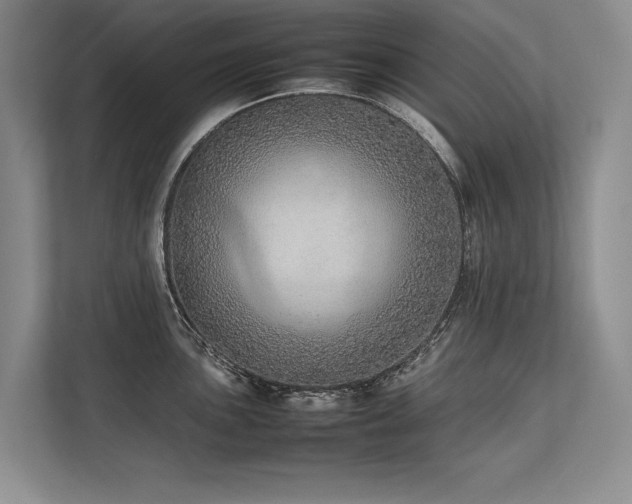 X0000113781051200909231311