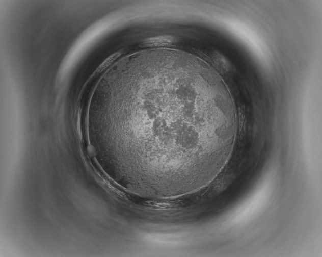 X0000113781054200909231311