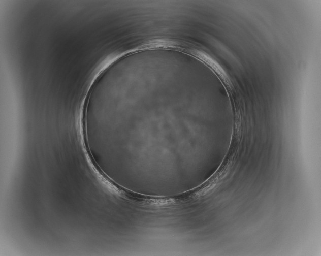 X0000113781055200909231311