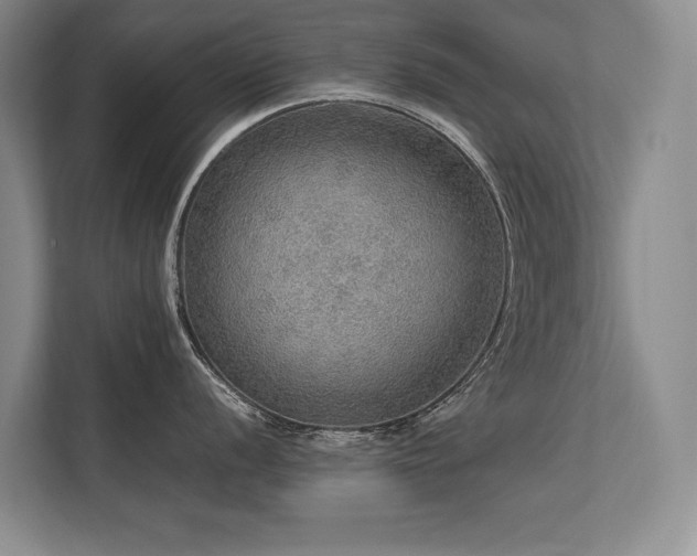 X0000113781056200909231311