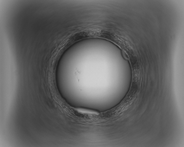 X0000113781057200909231311