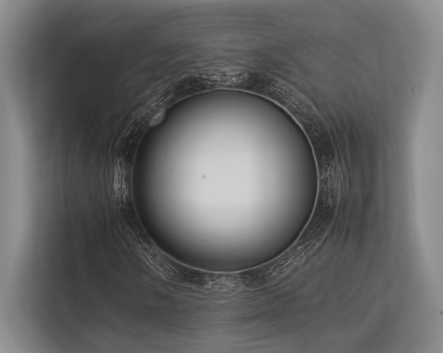 X0000113781058200909231311