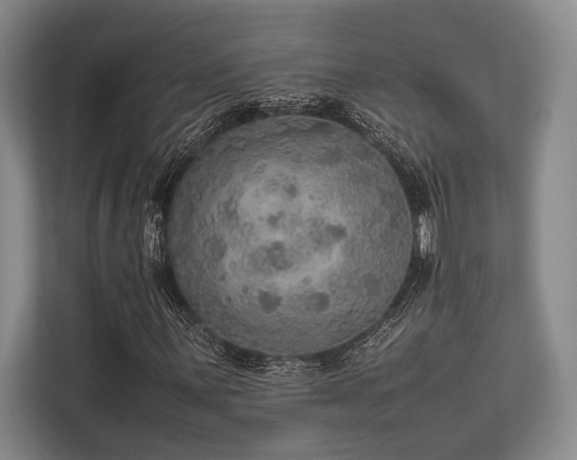 X0000113781059200909231311