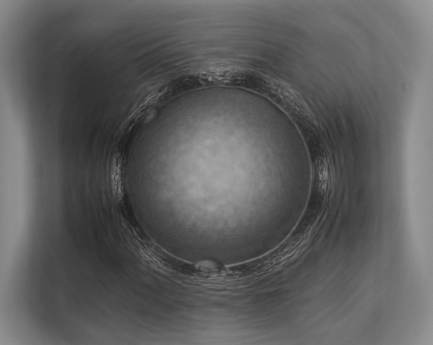 X0000113781060200909231311