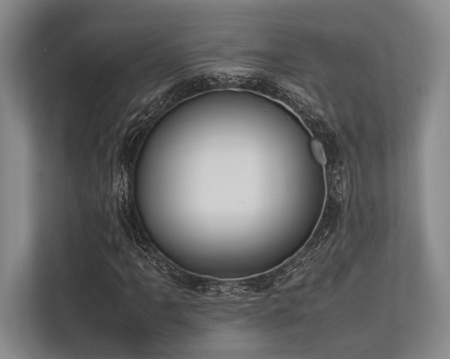 X0000113781061200909231311