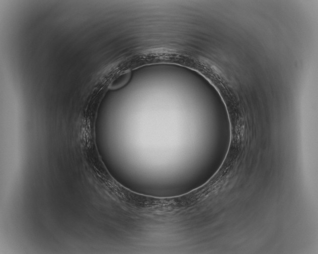 X0000113781062200909231311