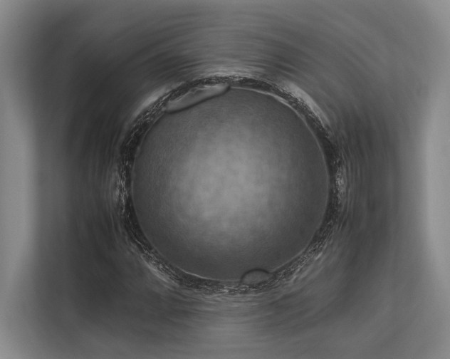 X0000113781064200909231311