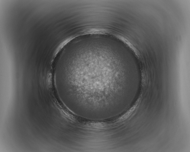 X0000113781066200909231311