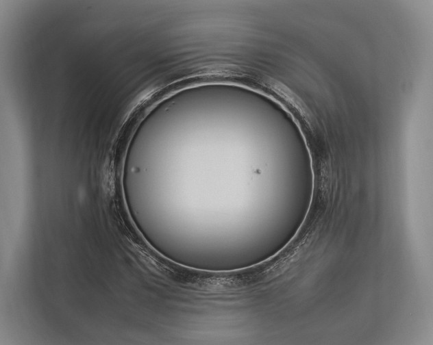 X0000113781067200909231311