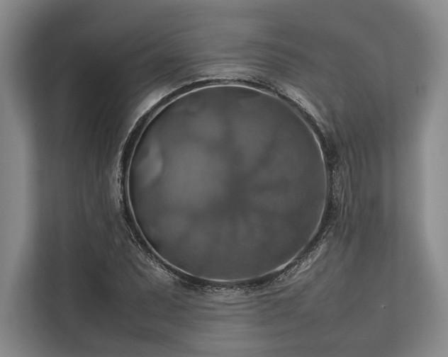 X0000113781071200909231311