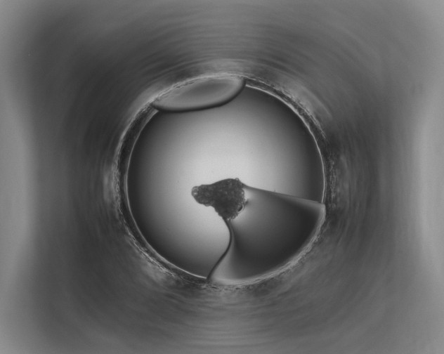 X0000113781072200909231311