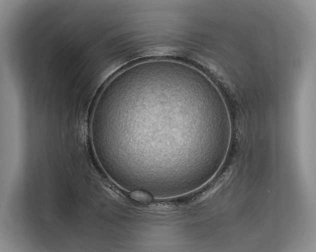 X0000113781073200909231311