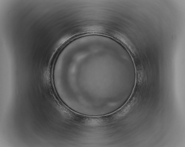 X0000113781074200909231311