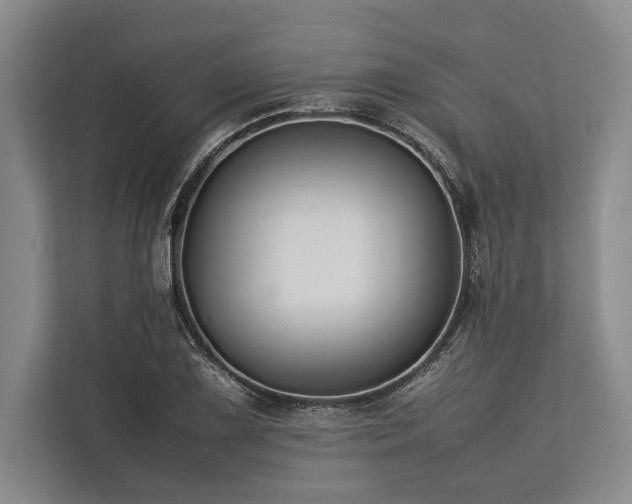 X0000113781075200909231311