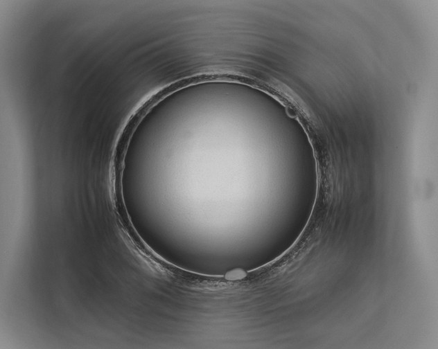 X0000113781076200909231310