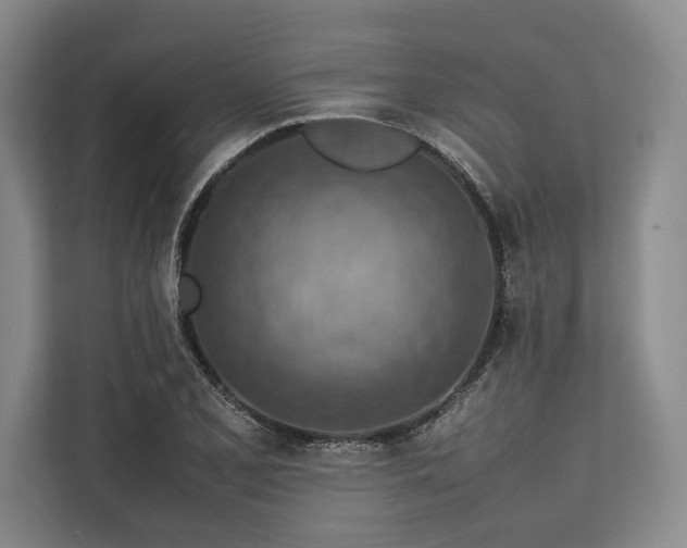 X0000113781077200909231310