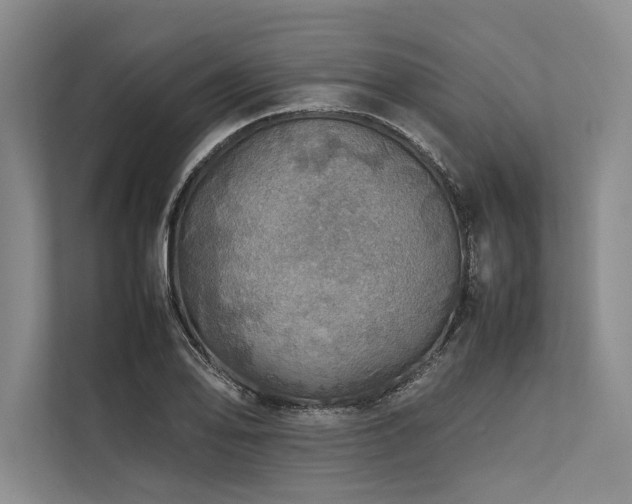 X0000113781078200909231310