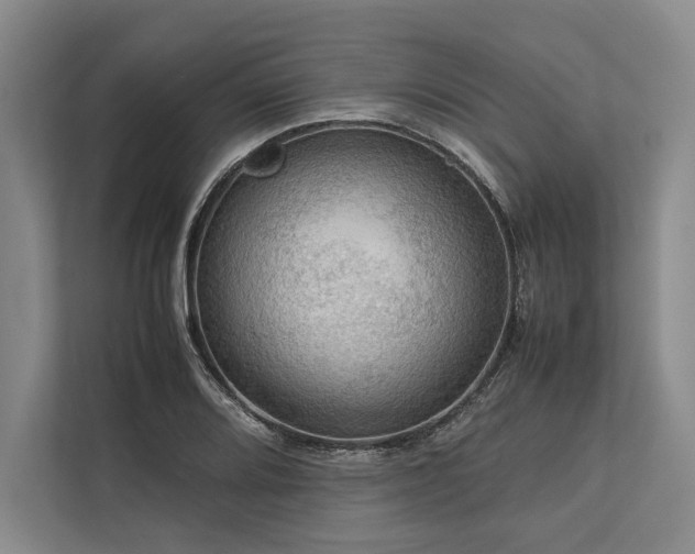 X0000113781080200909231310