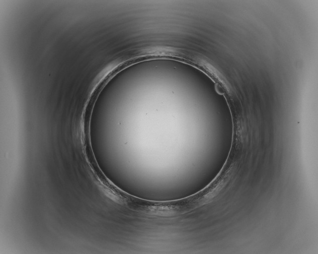 X0000113781082200909231310
