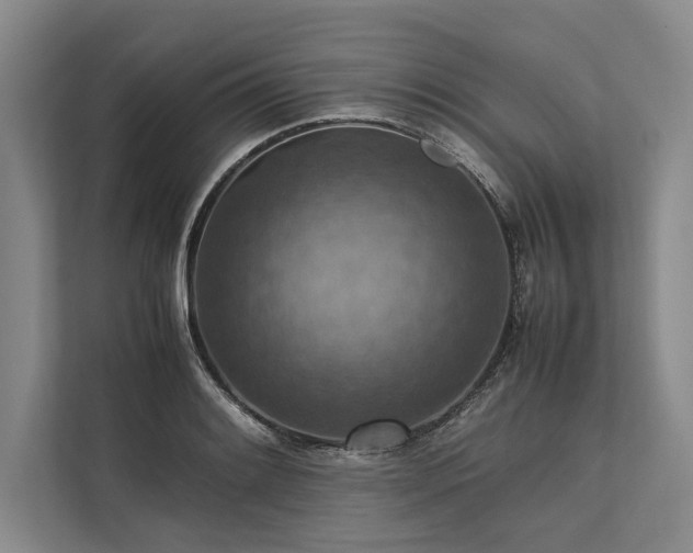 X0000113781084200909231310