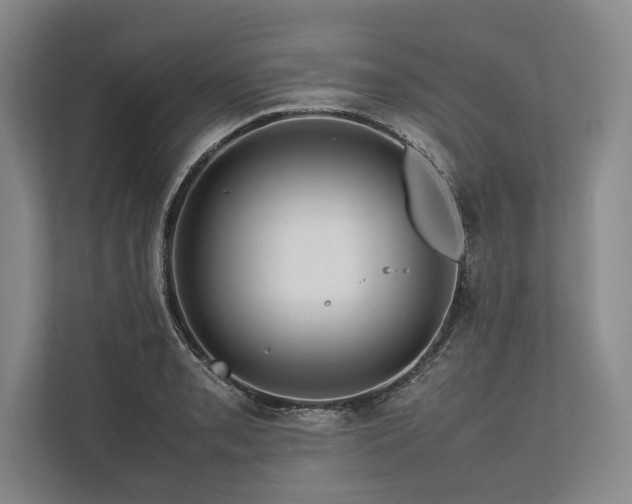 X0000113781085200909231310