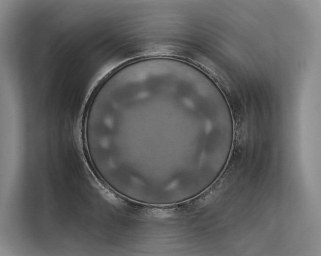 X0000113781086200909231310