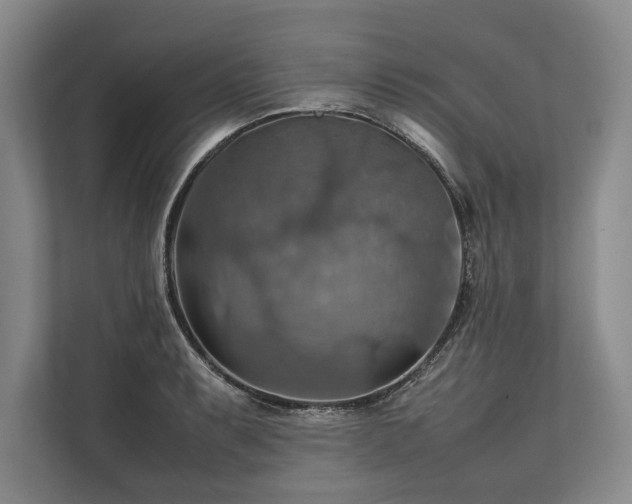 X0000113781087200909231310