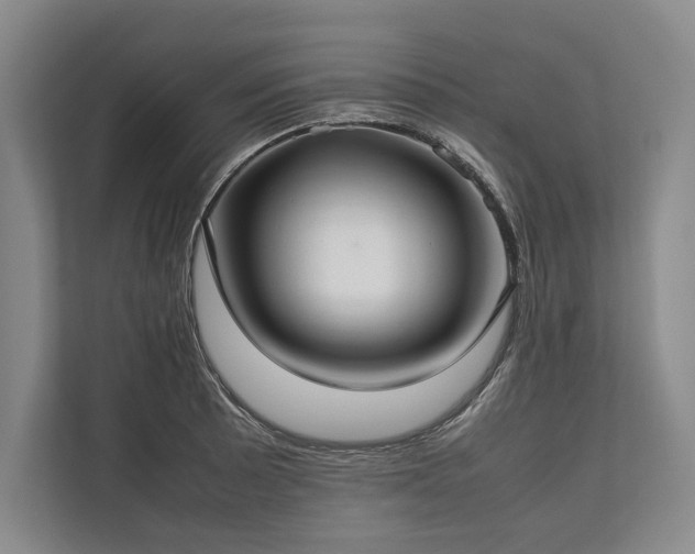 X0000113781089200909231310