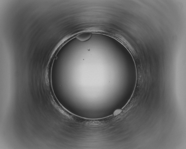 X0000113781092200909231310