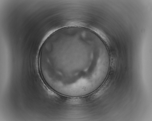 X0000113781094200909231310