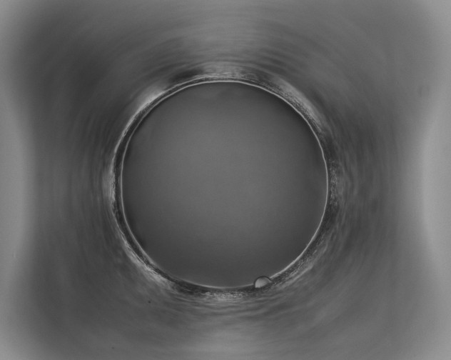 X0000113781095200909231310