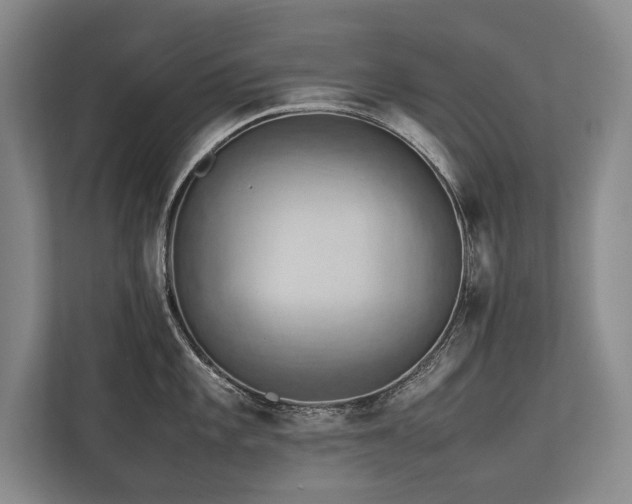 X0000113781101200909231310