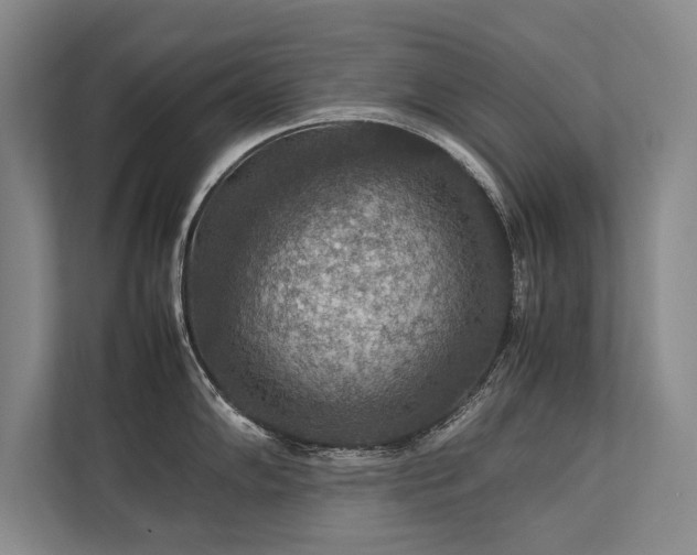 X0000113781102200909231310