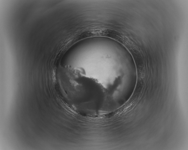X0000113781106200909231310