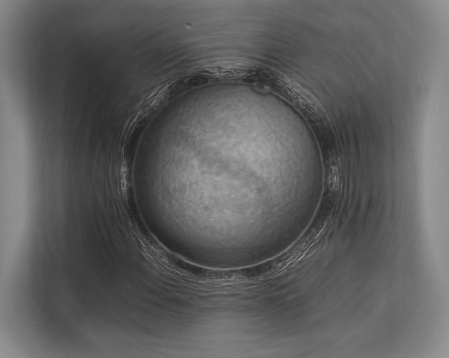 X0000113781108200909231310