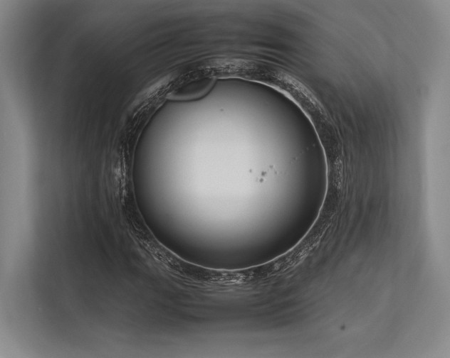 X0000113781111200909231310
